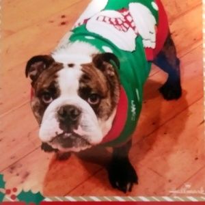 Meet your Posher, Jill